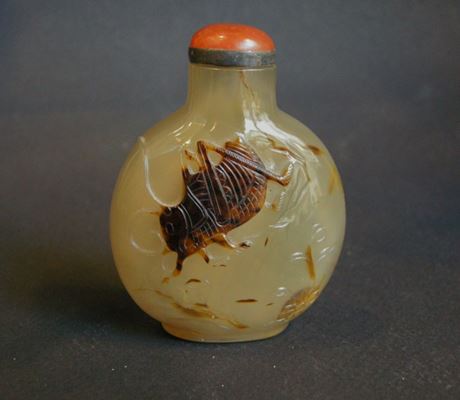 Snuff Bottles : snuff bottle agate sculpted with cricket  - Official school -
1800/1850