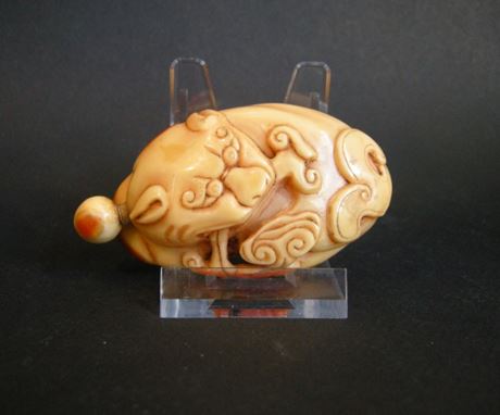 Snuff Bottles : Rare Hornbill snuff bottle sculpted a Fodog with Lingzhi  . 19° Century