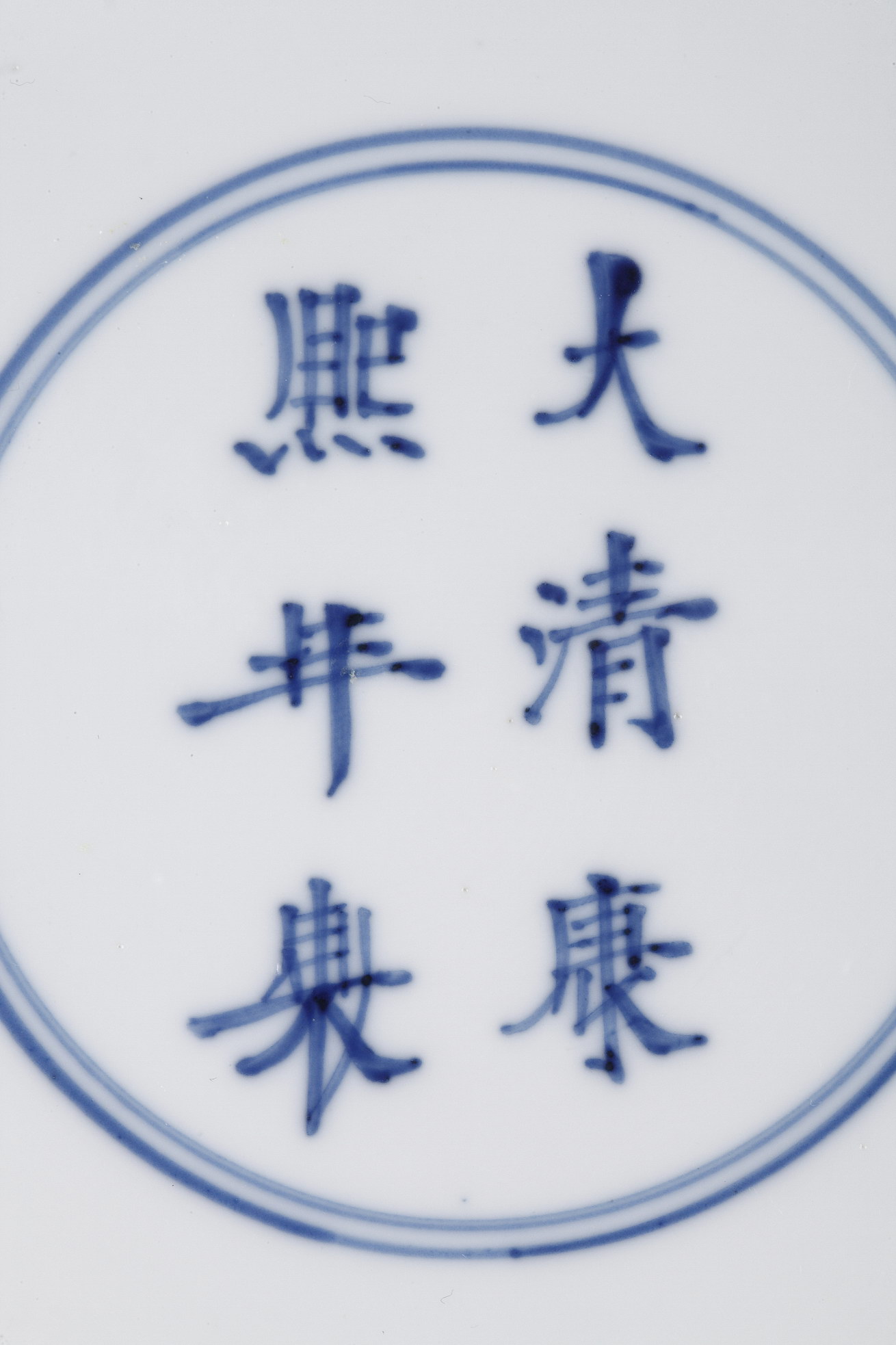 Blue White : Chinese blue and white porcelain plate with two long Eliza in a garden in front of a censer 
Kangxi mark and period (1662/1722)
