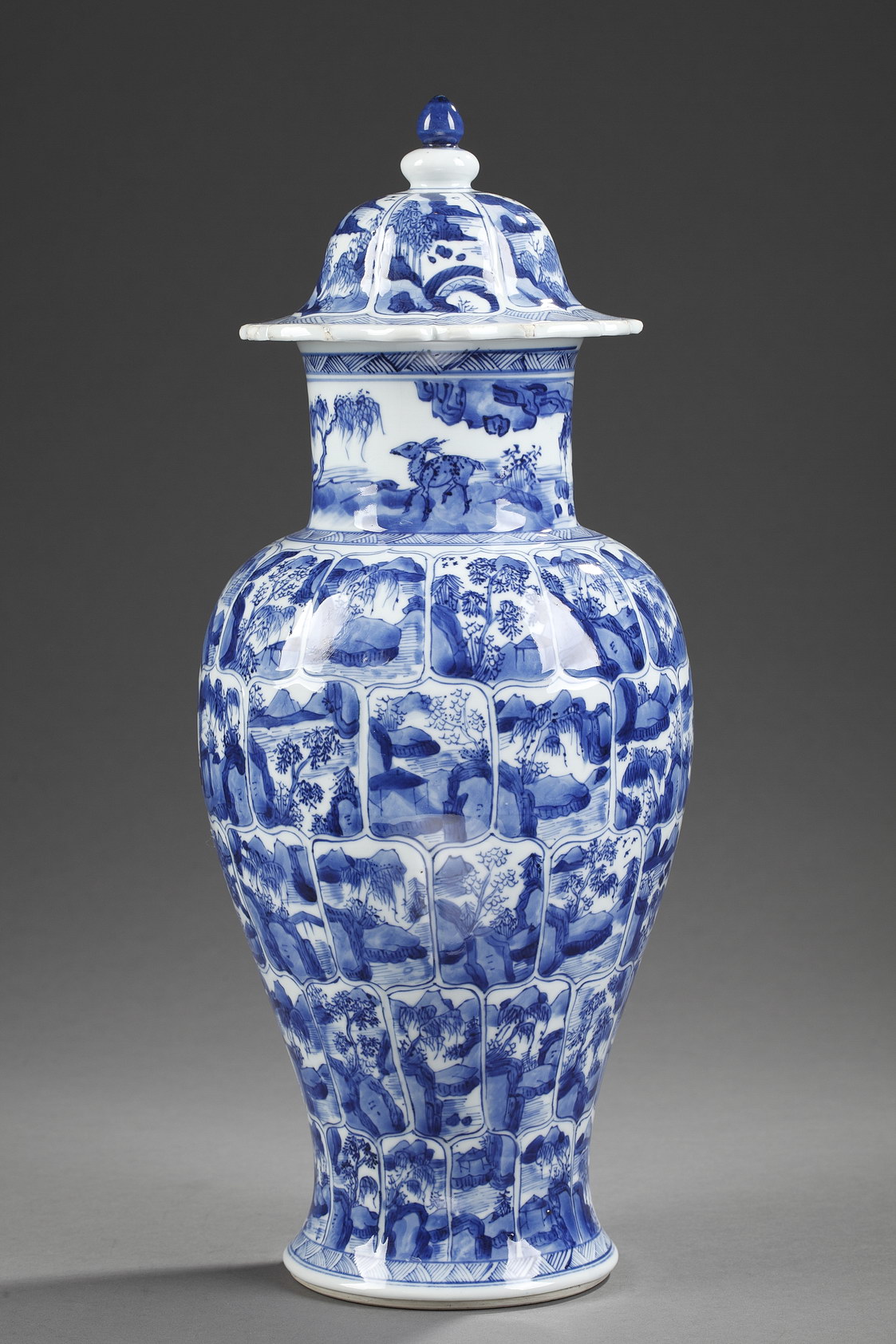 Blue White : Vase   " Blue and White" porcelain  - Kangxi period 1662/1722

H 43,5cm