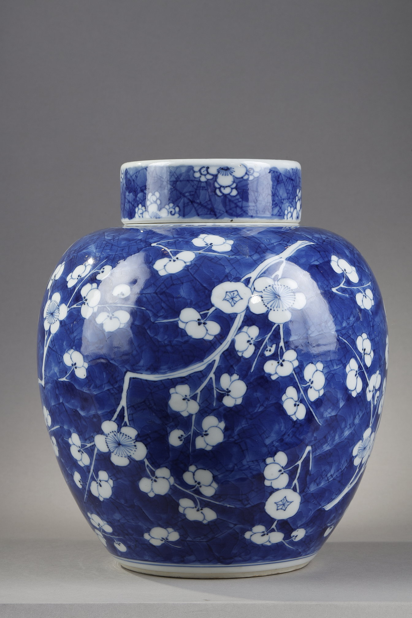 Blue White : Ginger pot and its "blue-white" porcelain cover decorated with prunus branches in flowers on a blue background called "cracked ice"   China Kangxi period 1662/1722